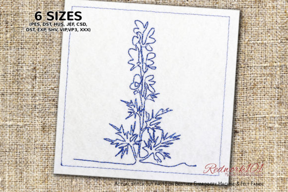 Aconite Flowering Plant Lineart Review