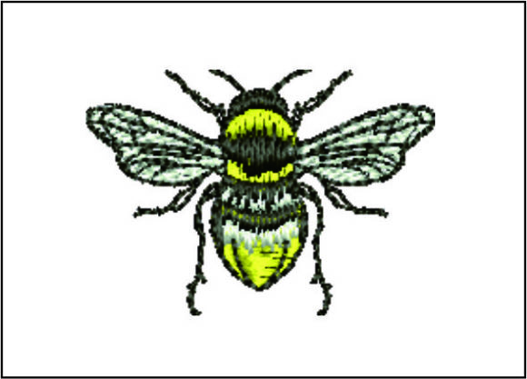 Bee Detailed: A Seasonal Embroidery Design Review